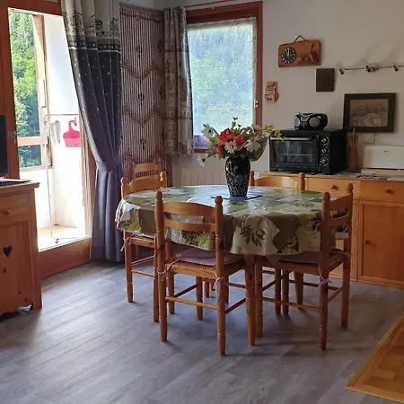 28m² Au Centre Avec Piscine Et Balcon ! - Fr-1-573-44 شقة Saint-Jean-dʼAulps